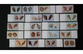 ANGOLA - 1974 - SEA SHELLS - FULL SET / s. 9,50 $ / collag