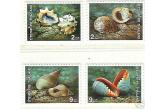 THAILAND - 1997 Sea Shells (Fauna)  / collag / 1 $