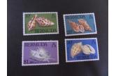 Bermuda - 1982 Sea Shells SG443/6 MNH UM unmounted mint  / collag / (ebay) w. 3  $