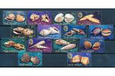 Cook Isl - 1974 : Shells - Good Set of Very Fine MNH Stamps  (ebay) s. 7 $ / collag