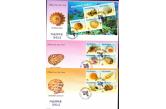 Philippines - 2005 , Philippine Shells , FDC set of 3 (RARE)  (ebay) s. 16 $ / collag