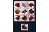  Suriname - Surinam 2010 Shells MNH  (ebay) s. 14 $ / collag