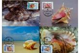 Nevis  -  Shells , 1990 , WWF , 4 Maximum cards  (ebay) s. 4 $ / collag