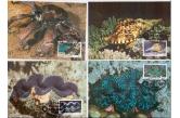 Marshall Isl. -  Sea life Shells , 1986 , 4 maximum cards  (ebay) s. 3 $ / collag