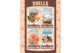 Solomon Islands - 2016 Shells on Stamps - 4 Stamp Sheet - SLM16119a  (ebay) s. 5 $ / collag