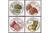 Tonga - 2001 Shells - 4 Stamp Set - 20N-020  (ebay) s. 5 $ / collag