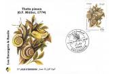 Algeria - FDC wildlife fauna snails shells molluscs snails Theba Euparypha pisana  (ebay) s. 5 $ / collag