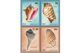 Nevis - shell-SEASHELLS OF THE CARIBBEAN set   (ebay) s. 5 $ / collag