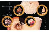 St. Kitts - SHELLS OF THE CARIBBEAN sheetlet-2012  (ebay) s. 6 $ / collag